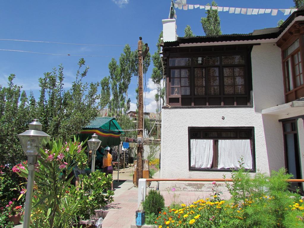 Отель Ashoka Ladakh Лех Экстерьер фото