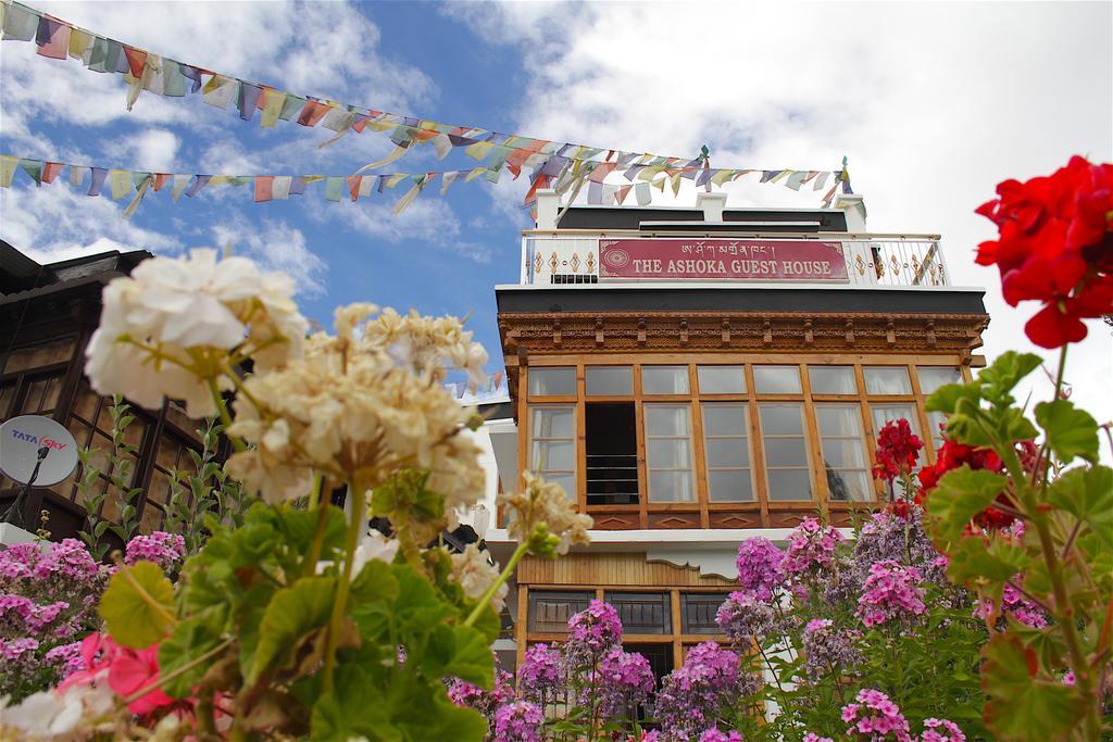 Отель Ashoka Ladakh Лех Экстерьер фото